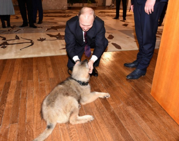 ''Paša je najbolji čuvar na svijetu''