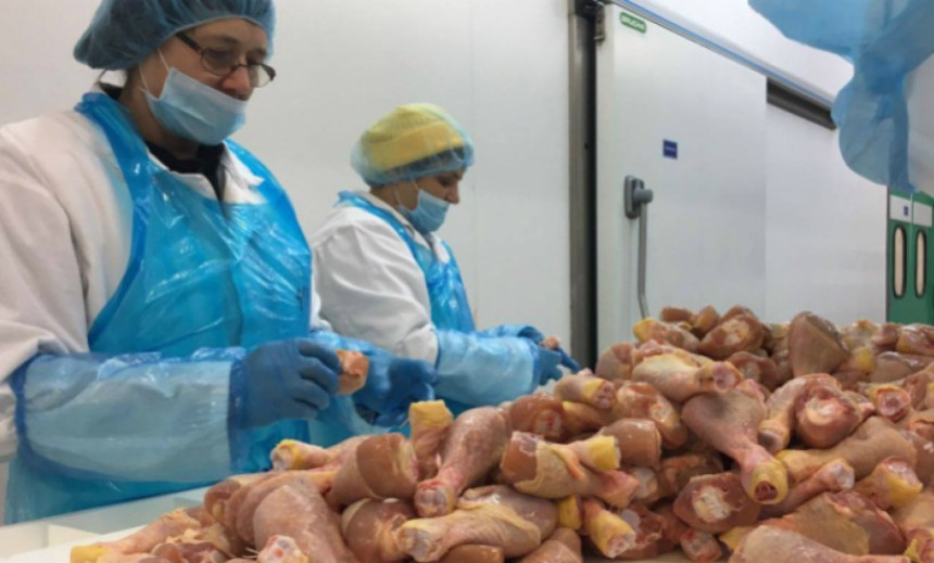 Испуњени услови за извоз меса и јаја