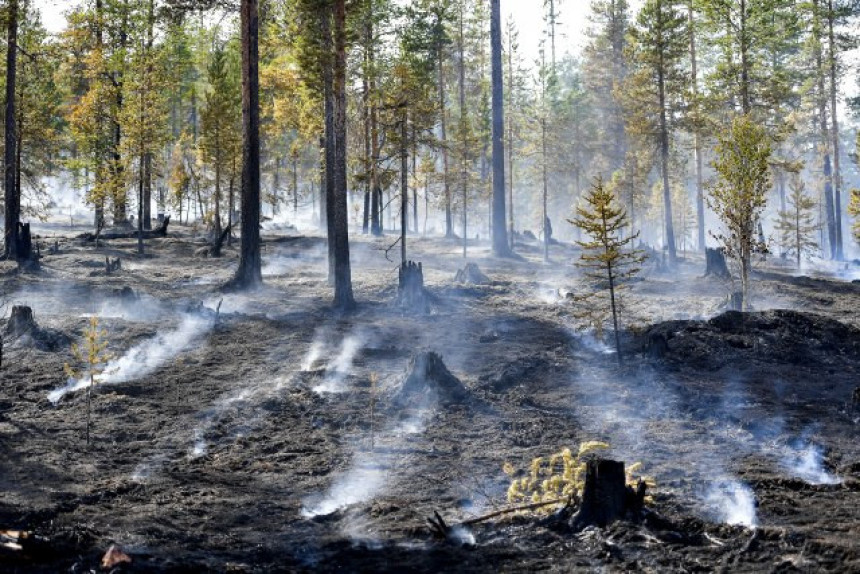 50 požara na sjeveru Španije