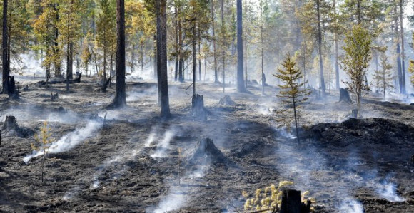 50 požara na sjeveru Španije