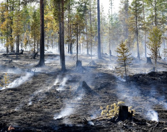 50 пожара на сјеверу Шпаније