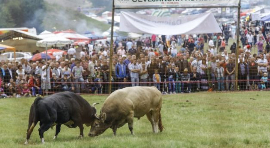 "Grmečka korida" se vraća na Međeđe brdo