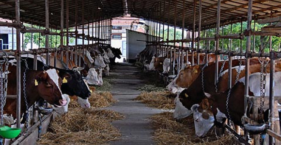 Uz milionsku pomoć u milionskom gubitku