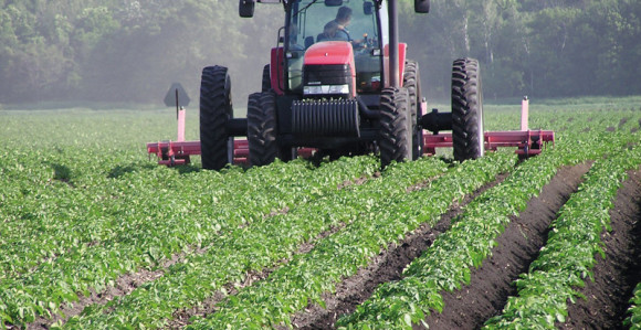 Isplata dugova naredne sedmice?