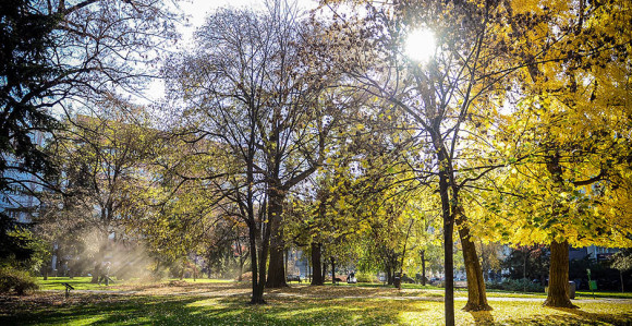 Boravak u parku puni sve baterije