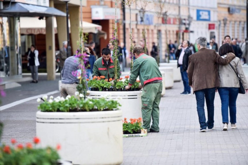 Centar Banjaluke ukrašen cvijećem