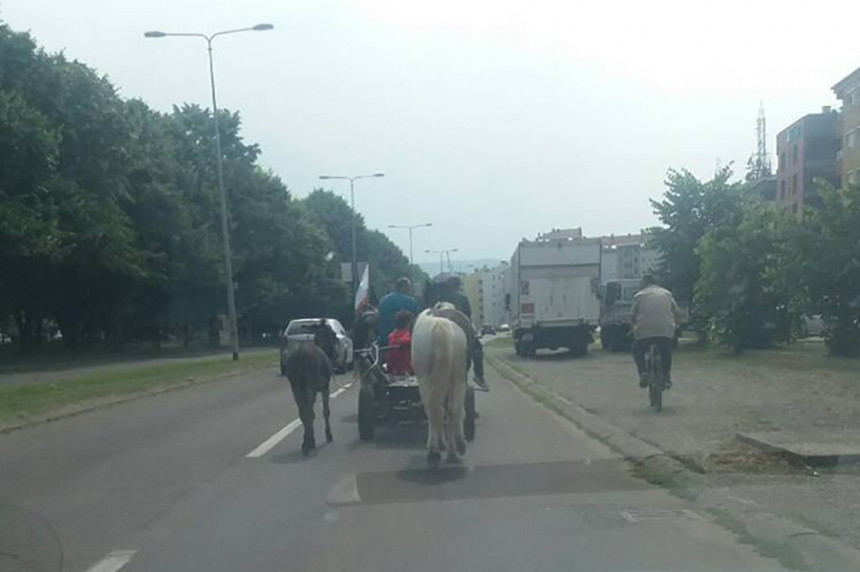 Konji i magarac na ulicama Banjaluke
