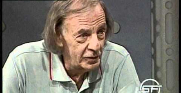 "Flako" je pratio EURO i sve mu je jasno!