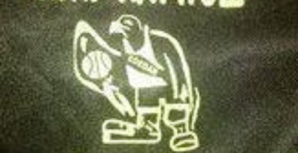 Karpoš Sokoli: ABA = mala grupa gangstera i ped**a!