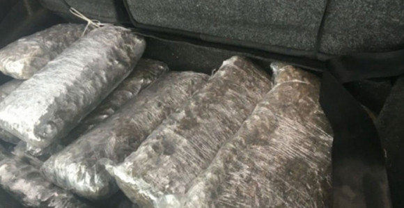 SIPA zaplijenila 650 kg skanka