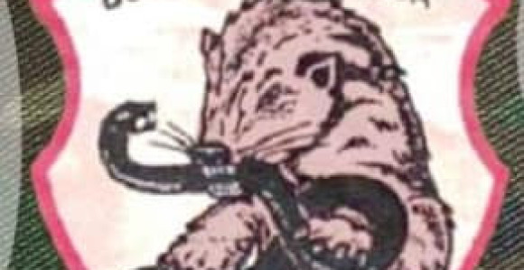 Načelnik SNSD-a pobrkao lončiće