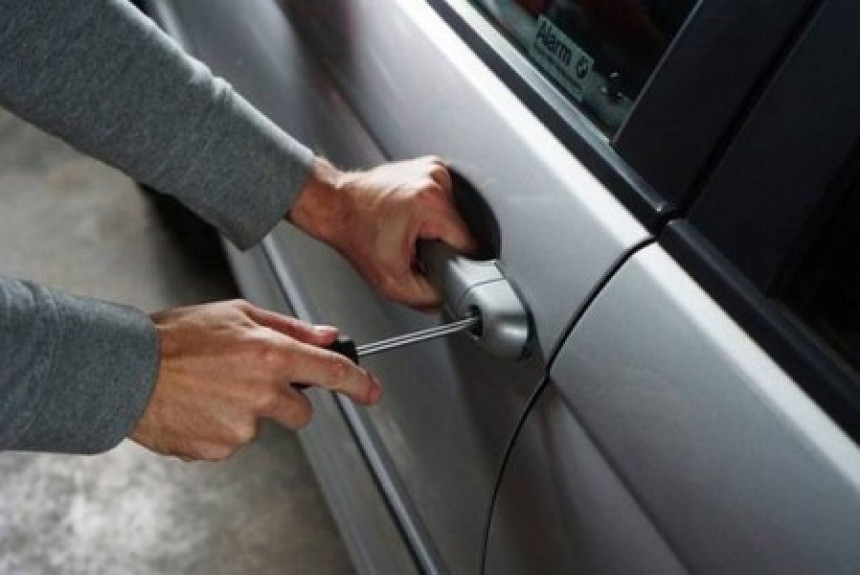 Uhapsili kradljivce automobila zahvaljujući fotografu amateru!