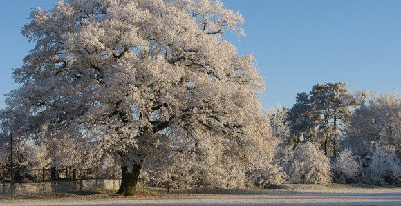 Upozorenje: Žuti meteoalarm u BiH