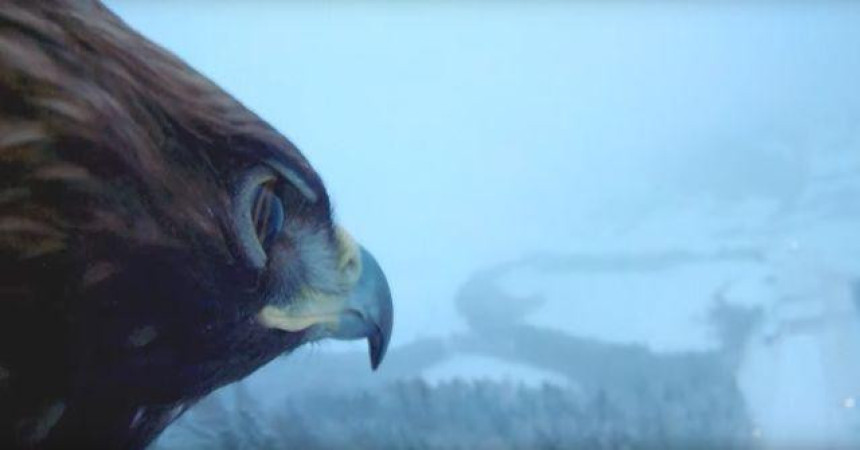 Видео: Ски летови из перспективе правог орла...!