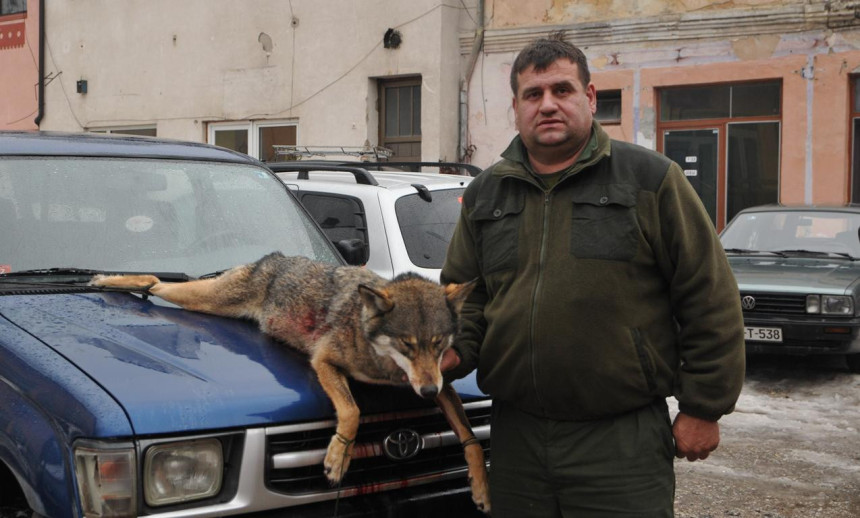 Lovci Čajniča ubili vučicu