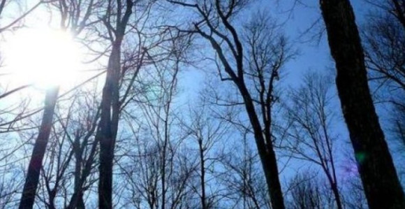 Danas u BiH pretežno sunčano