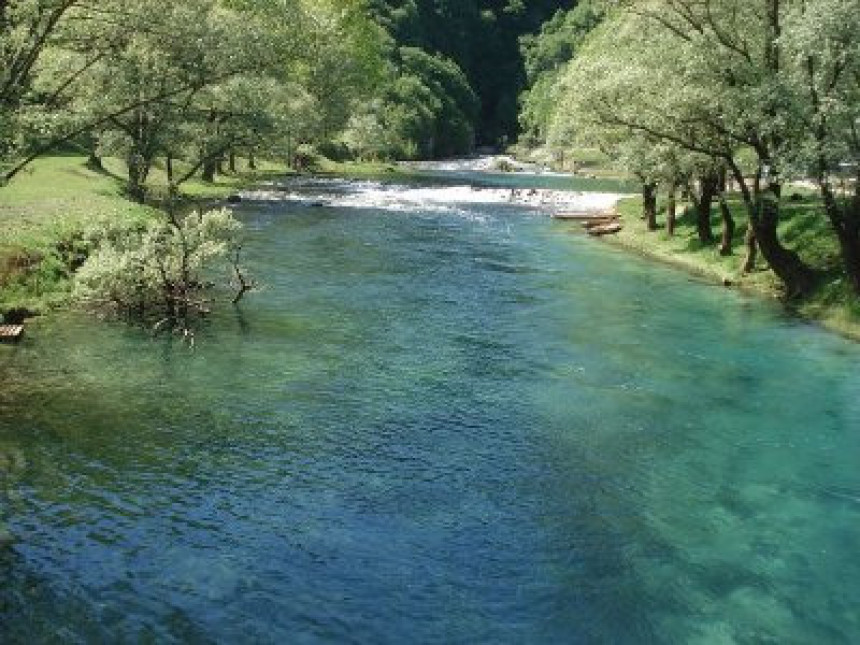 Veliki pomor ribe u rijeci Usori