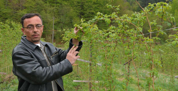 Štete od snijega još nema?