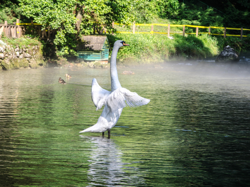 Sunčano i toplo: Do 29 stepeni 
