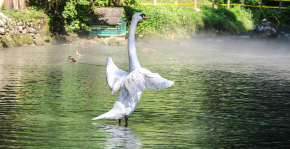 Sunčano i toplo: Do 29 stepeni 