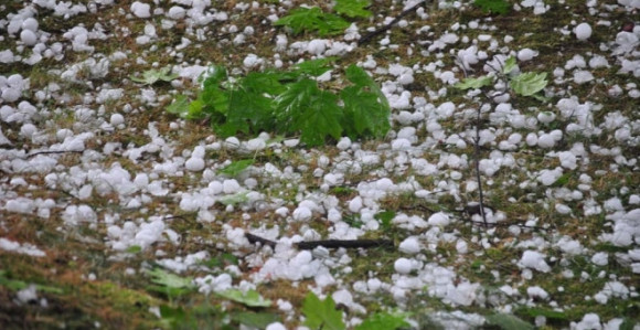 Kosjerić: Led veličine jajeta opustošio sela