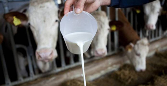 Хиљаду мљекара мање у Српској