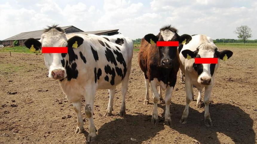 Krave uništile eksperiment?!