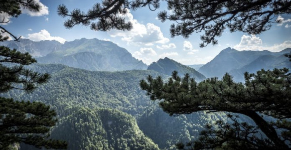 Rendžeri čuvaju prirodno blago 