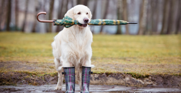 Upozorenje na padavine u BiH