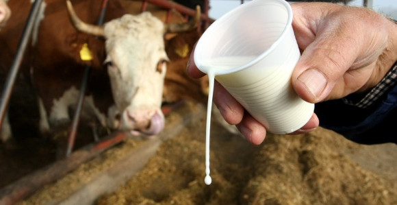 Mljekari Republike Srpske na izdisaju