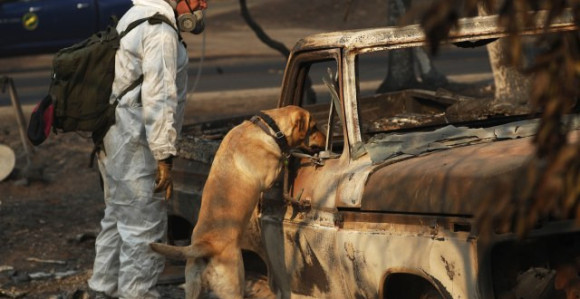 Kalifornija čeka "spas" s neba