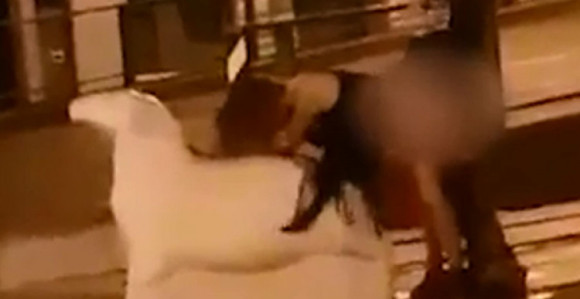 Seks nasred ulice: Građani navijali!