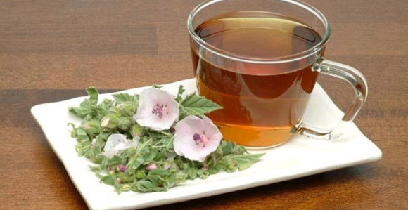 Bijeli sljez umiruje kašalj