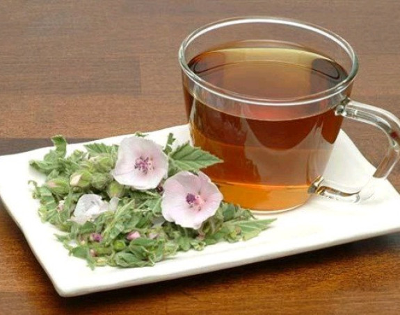 Bijeli sljez umiruje kašalj