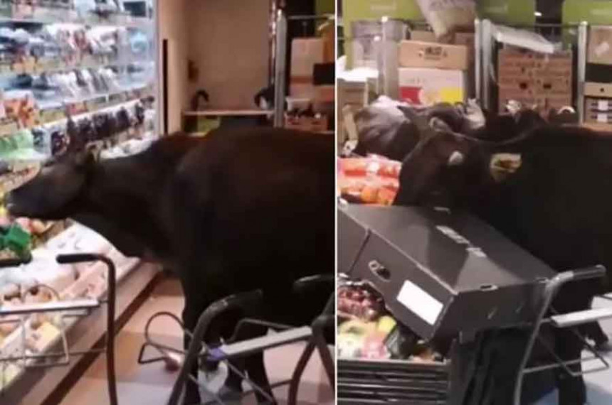 Хонг Конг: Краве ушле у продавницу