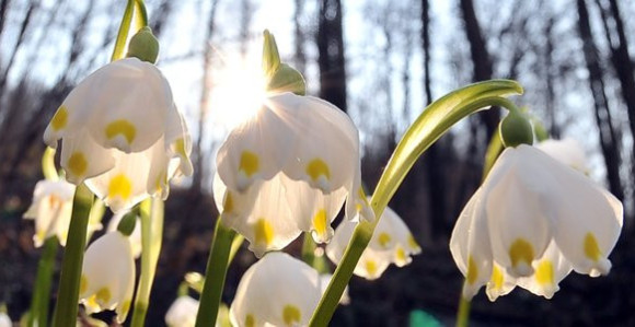 Prvi dan proljeća sunčano i toplo 