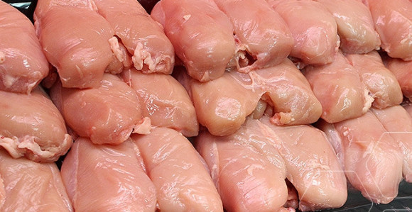 U BiH nema zaražene piletine