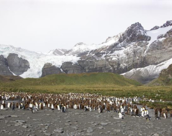 Stiglo proljeće i na Antarktik