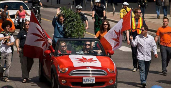 Trudo: Marihuana uskoro legalna