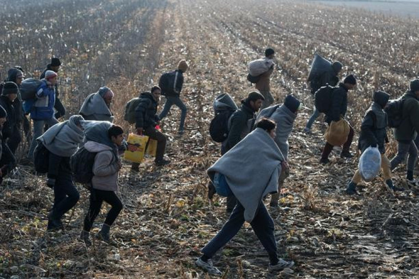 Gradiška: Priveli 11 migranata