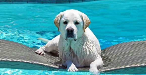 Danas sunčano, temperatura 34ºC