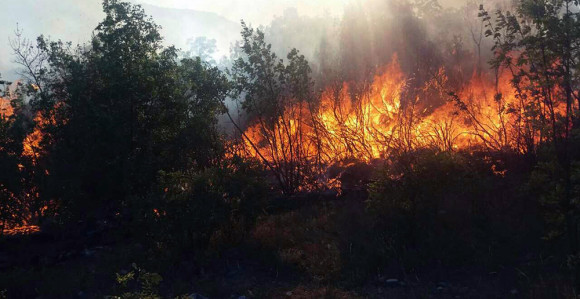 Veliki požar zahvatio Ljubinje