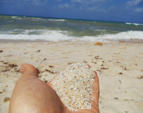 Ukrali pijesak sa plaže, prijeti im 6 godina robije!