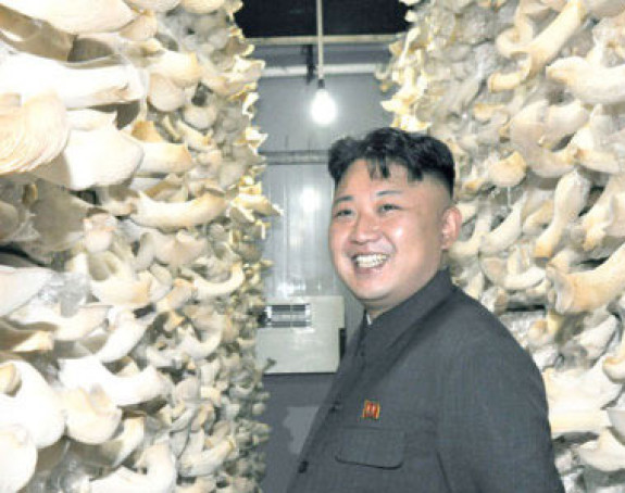 Kim poslao u Južnu Koreju dvije tone rijetkih pečuraka