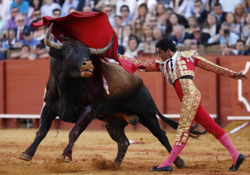 Ukinuta zabrana koride