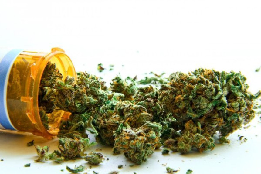 Први кораци БиХ ка легализацији марихуане