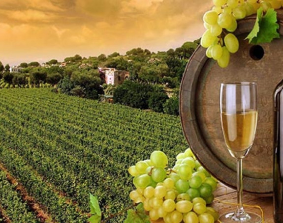 Opada proizvodnja vina širom svijeta