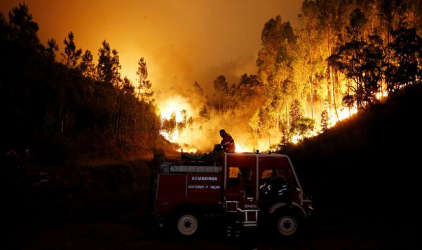 Португал: Пожар однио и 43 жртву   
