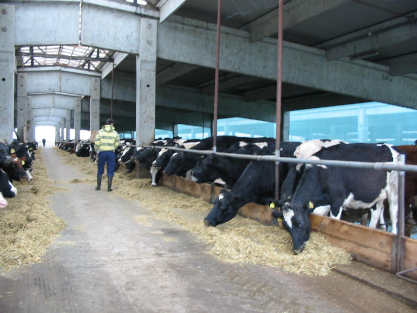 “Farmlend“ ne plaća dugove