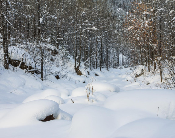 Гацко: Прва жртва смрзавања